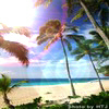 JellyMuffin.com - The place for profile layouts, flash generators, glitter graphics, backgrounds and codes