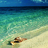 JellyMuffin.com - The place for profile layouts, flash generators, glitter graphics, backgrounds and codes