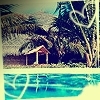 JellyMuffin.com - The place for profile layouts, flash generators, glitter graphics, backgrounds and codes