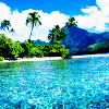 JellyMuffin.com - The place for profile layouts, flash generators, glitter graphics, backgrounds and codes