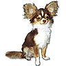 JellyMuffin.com - The place for profile layouts, flash generators, glitter graphics, backgrounds and codes