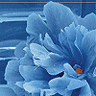 JellyMuffin.com - The 

place for profile layouts, flash generators, glitter graphics, backgrounds and codes