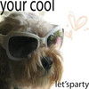JellyMuffin.com - The place for profile layouts, flash generators, glitter graphics, backgrounds and codes