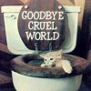 JellyMuffin.com - The place for profile layouts, flash generators, glitter graphics, backgrounds and codes