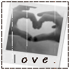 JellyMuffin.com - The place for profile layouts, flash generators, glitter graphics, backgrounds and codes
