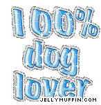 JellyMuffin.com - The place for profile layouts, flash generators, glitter graphics, backgrounds and codes