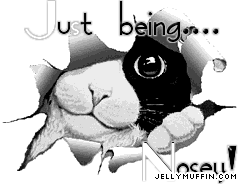 JellyMuffin.com - The place for profile layouts, flash generators, glitter graphics, backgrounds and codes