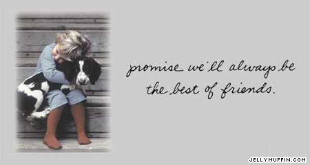 JellyMuffin.com - The place for profile layouts, flash generators, glitter graphics, backgrounds and codes