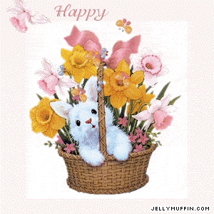 JellyMuffin.com - The place for profile layouts, flash generators, glitter graphics, backgrounds and codes