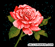 JellyMuffin.com - The place for profile layouts, flash generators, glitter graphics, backgrounds and codes