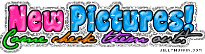 JellyMuffin.com - The place for profile layouts, flash generators, glitter graphics, backgrounds and codes