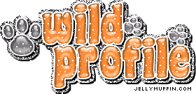 JellyMuffin.com - The place for profile layouts, flash generators, glitter graphics, backgrounds and codes